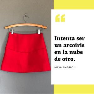 Sexy/Classic A skirt